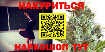 гидра Моздок