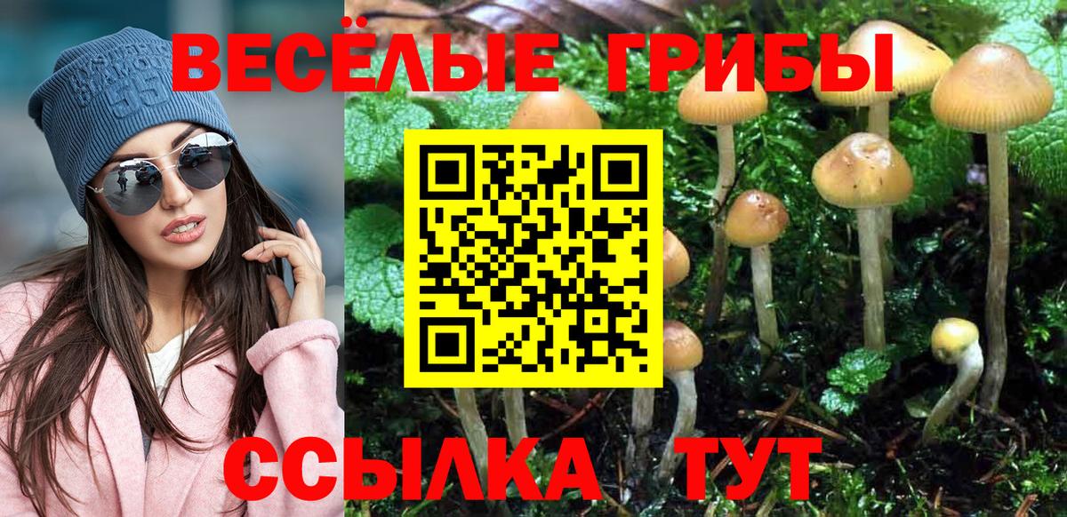 Галлюциногенные грибы Magic Shrooms  Вход с VPN  Тулун 